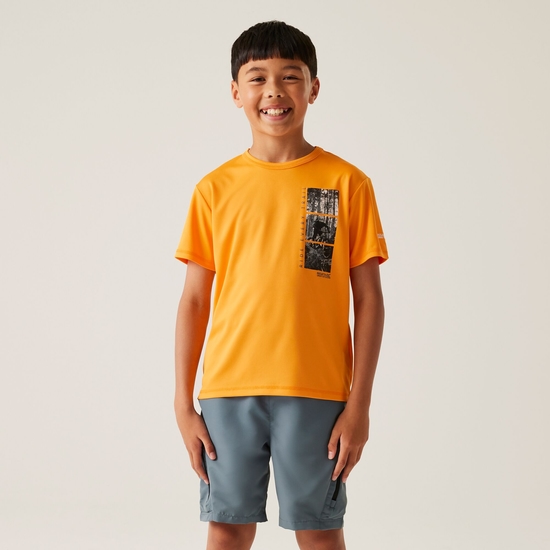 Kids' Alvarado IX T-Shirt | Bright Marigold
