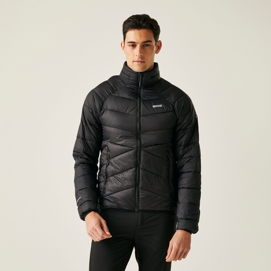 Men's Dalent Padded Jacket | Black