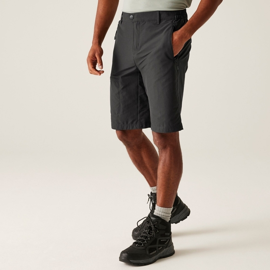 Men's Highton II Long Walking Shorts | Ash