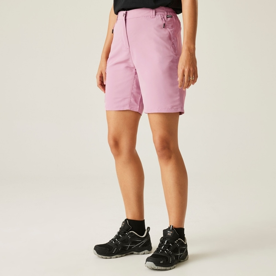 Women's Chaska III Walking Shorts | Lilas