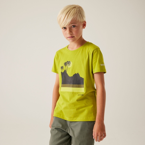 Kids' Bosley VIII T-Shirt | Grenoble Green