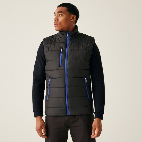 Men's Navigate Thermal Bodywarmer | Black New Royal