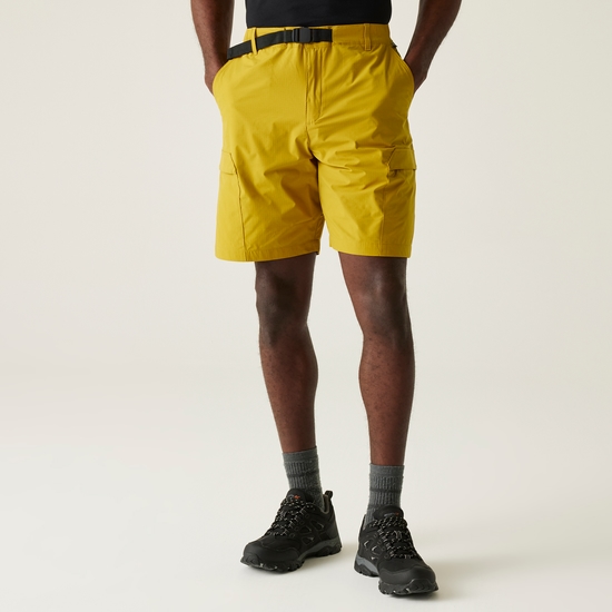 Men's Mallen Shorts | Mustard