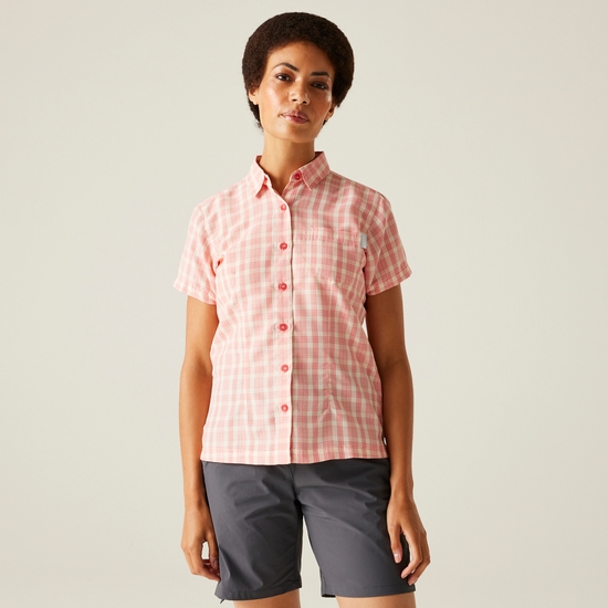 Women's Mindano VIII Short Sleeve Shirt | Peach Bloom Check