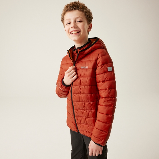 Kids' Hooded Marizion Padded Jacket | Red Ochre Fox