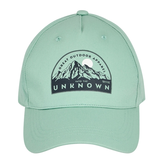 Adult's Snapback Cap | Glacier Mountain