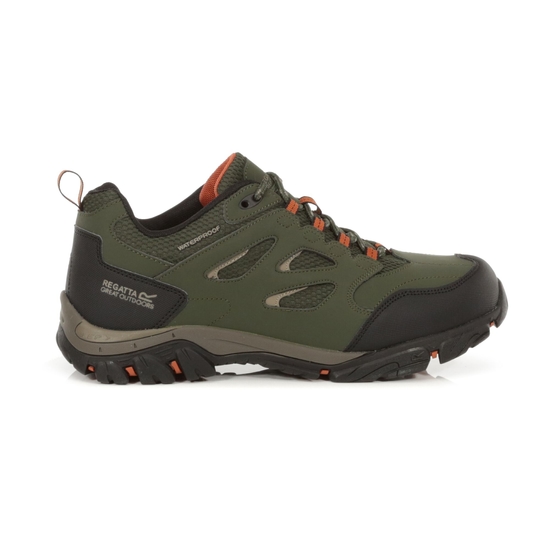 Men's Holcombe Waterproof Low Walking Shoes | Bayleaf Burnt Umber
