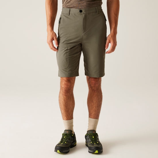 Men's Highton II Long Walking Shorts | Treetop