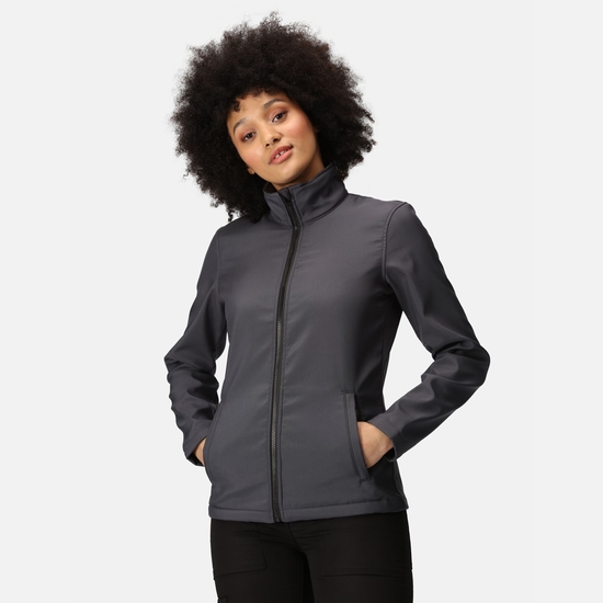 Women's Ablaze Printable Softshell Jacket | Seal Grey Black
