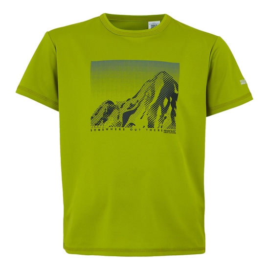 Kids' Alvarado IX T-Shirt | Grenoble Green