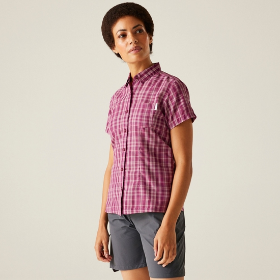 Women's Mindano VIII Short Sleeve Shirt | Beaujolais Check