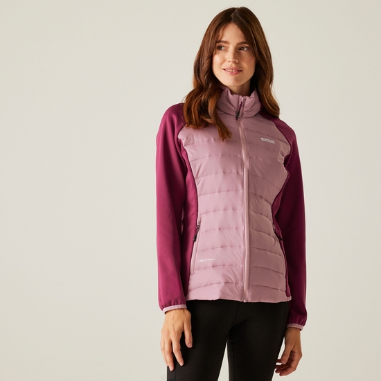 Women's Clumber V Hybrid Jacket | Lilas Beaujolais Pop