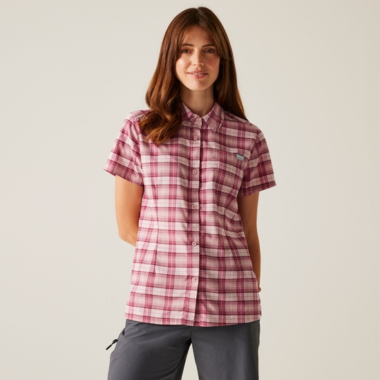 Women's Begarno Short Sleeve Shirt | Lilas Beaujolais Check