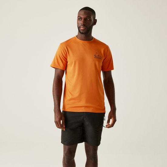 Men's Fingal IX T-Shirt | Fox