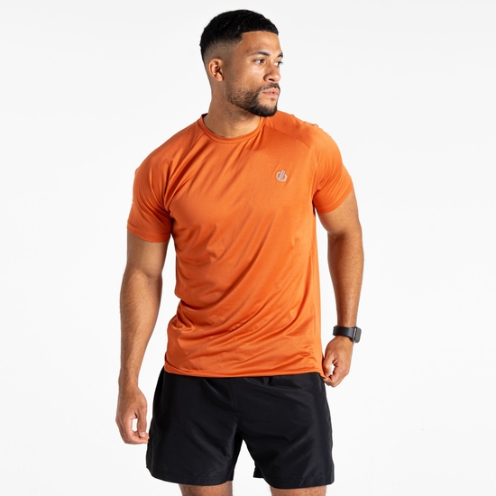 Men's Accelerate Fitness T-Shirt | Spicy Route
