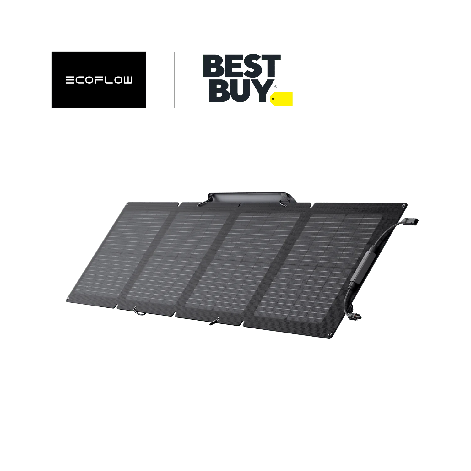 EcoFlow Foldable 110W Solar Panel (Best buy pick-up)