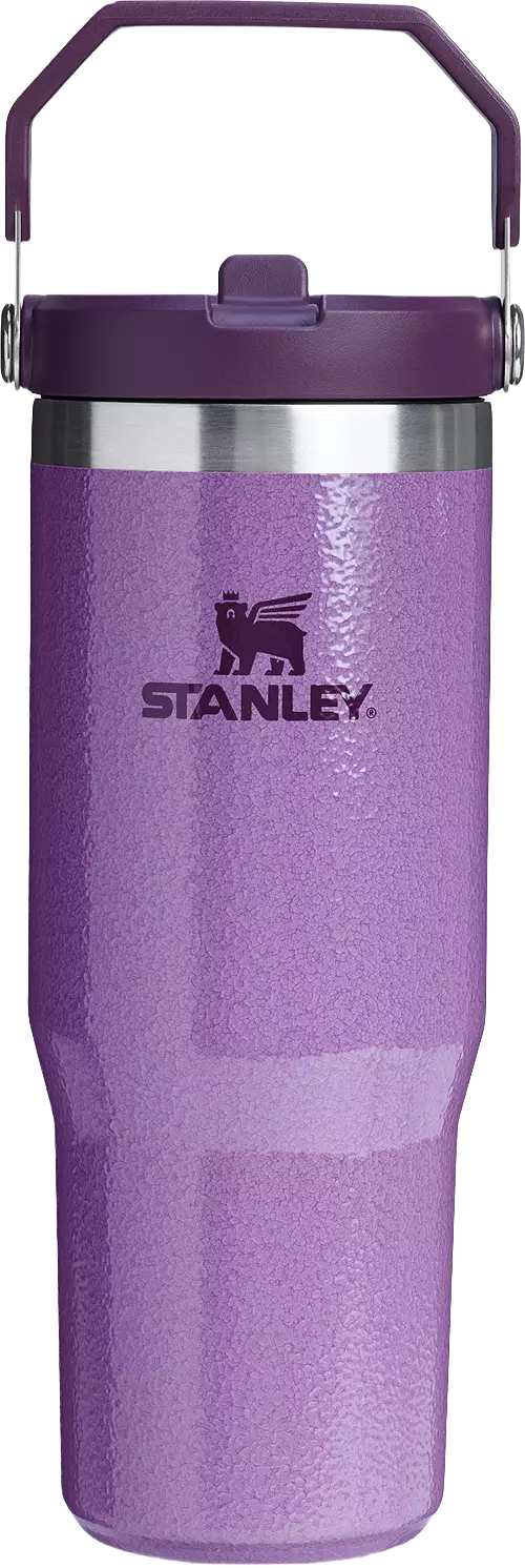 Stanley 30 oz. IceFlow Flip Straw Tumbler