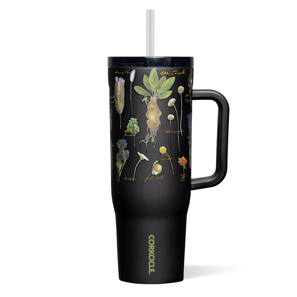 Harry Potter Cruiser 40oz |Corkcicle