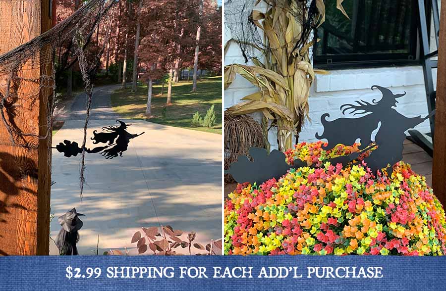 Flying Witch Metal Silhouette