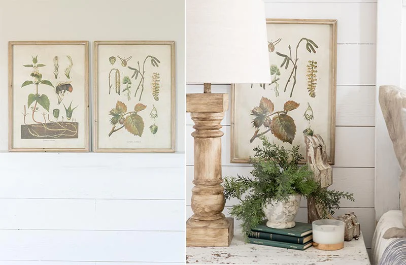 Large Natural Herb Prints  Set of 2