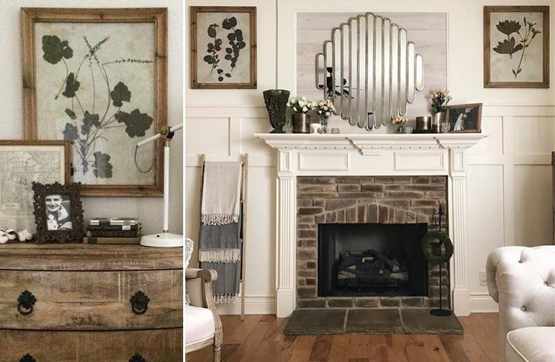 Oversized Pressed Botanical Prints  Set of 4