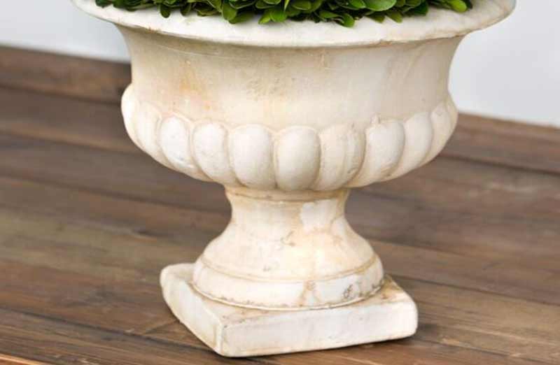Potted Boxwood Topiary Ball