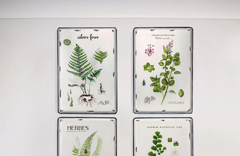 White Enamel Botanical Prints  Set of 4