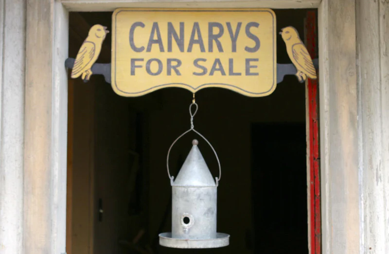 Cone Top Birdhouse
