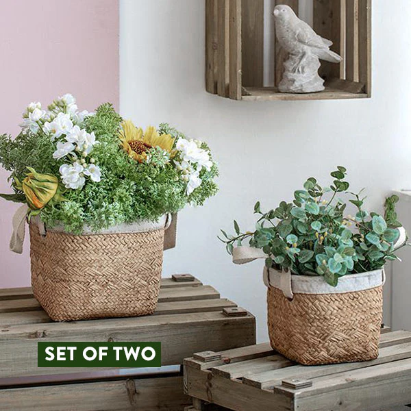 Cement Basket Planters, Set of 2