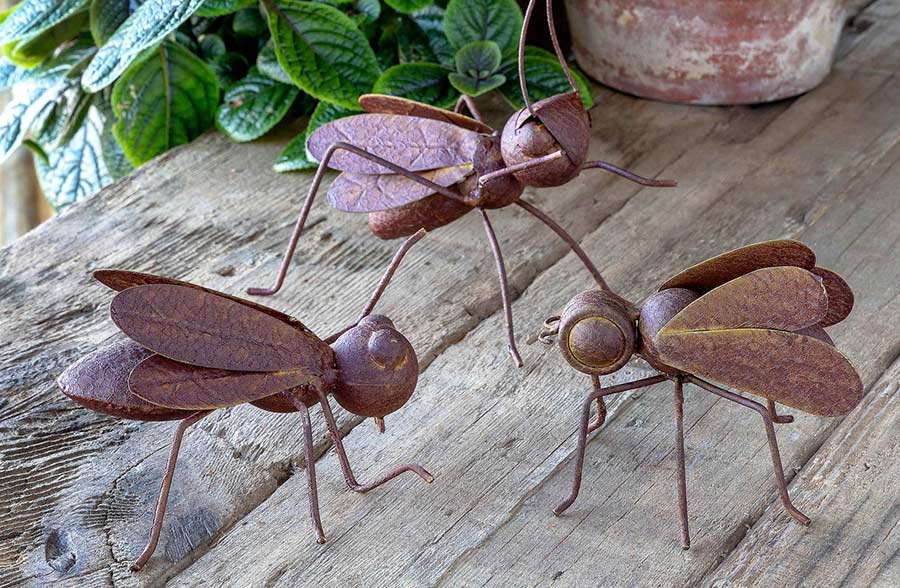 Collected Metal Insects, Set of 3