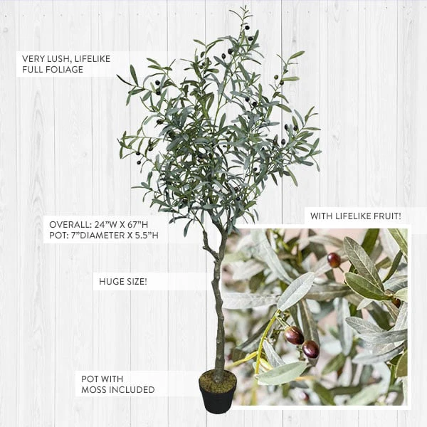 Faux Olive Tree | 67 Inch Premium Lush Potted Olive Tree