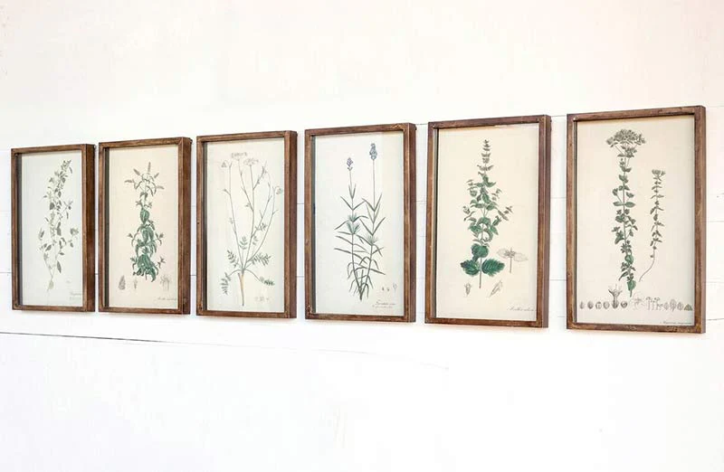 Wooden Framed Botanical Prints  Set of 6