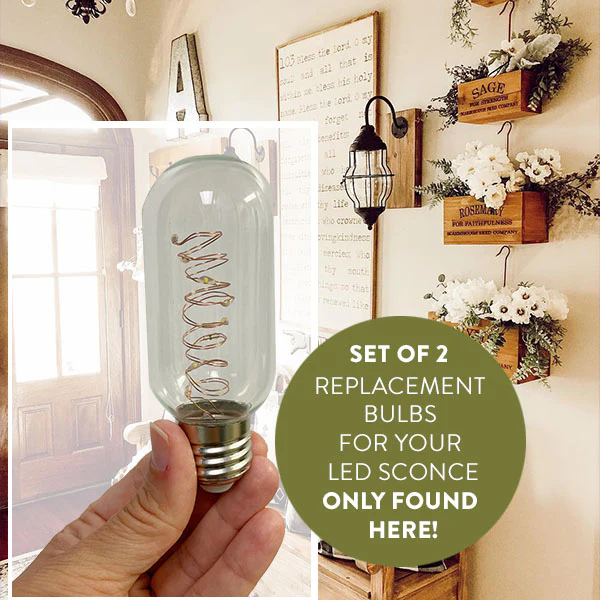 Replacement Bulb for Industrial LED Wall Sconce with Timer, Set of 2