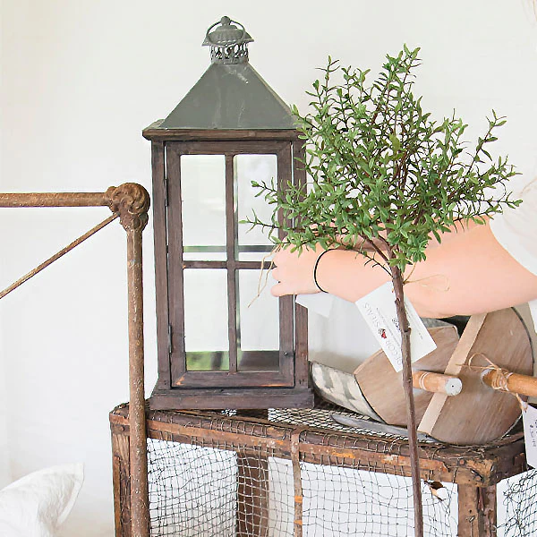 HUGE Antique Candle Lantern