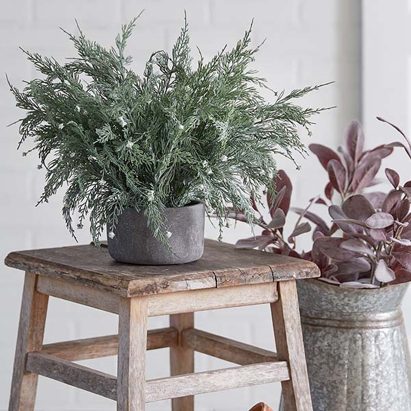 HUGE 16 Inch Lifelike Potted Cypress