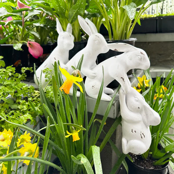 Playful Friends Bunny Decor Statues