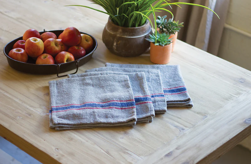 Cloth Table Napkins Set of 4