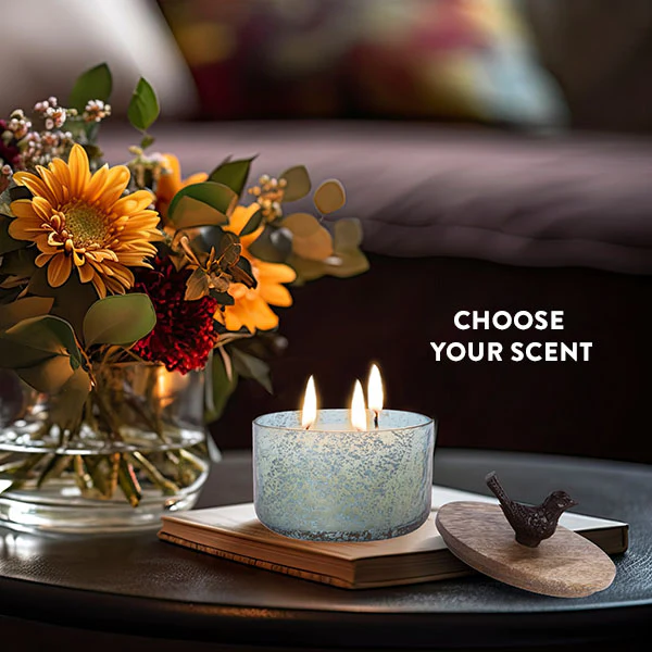 3 Wick Candle With Bird Lid, Choose Your Color