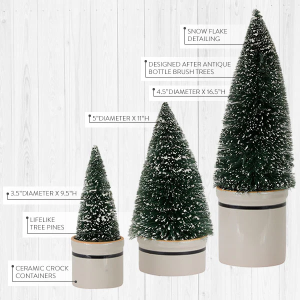 Bottle Brush Trees with Ceramic Pots, Set of 3