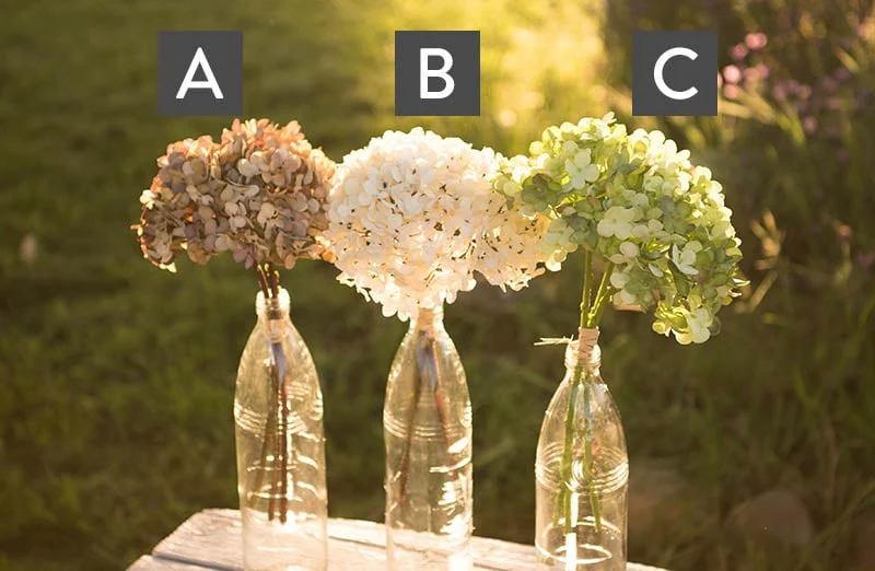 Lush Hydrangea Bundle Set of 2