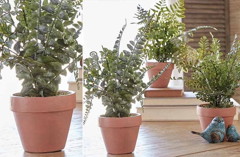 Assorted Potted Faux Ferns  Set of 3