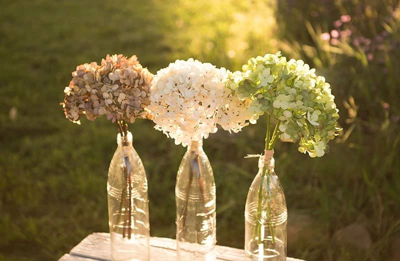 Lush Hydrangea Bundle Set of 2