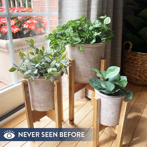 Handmade Clay Flower Pots with Recycled Wood Stands, Set of 3