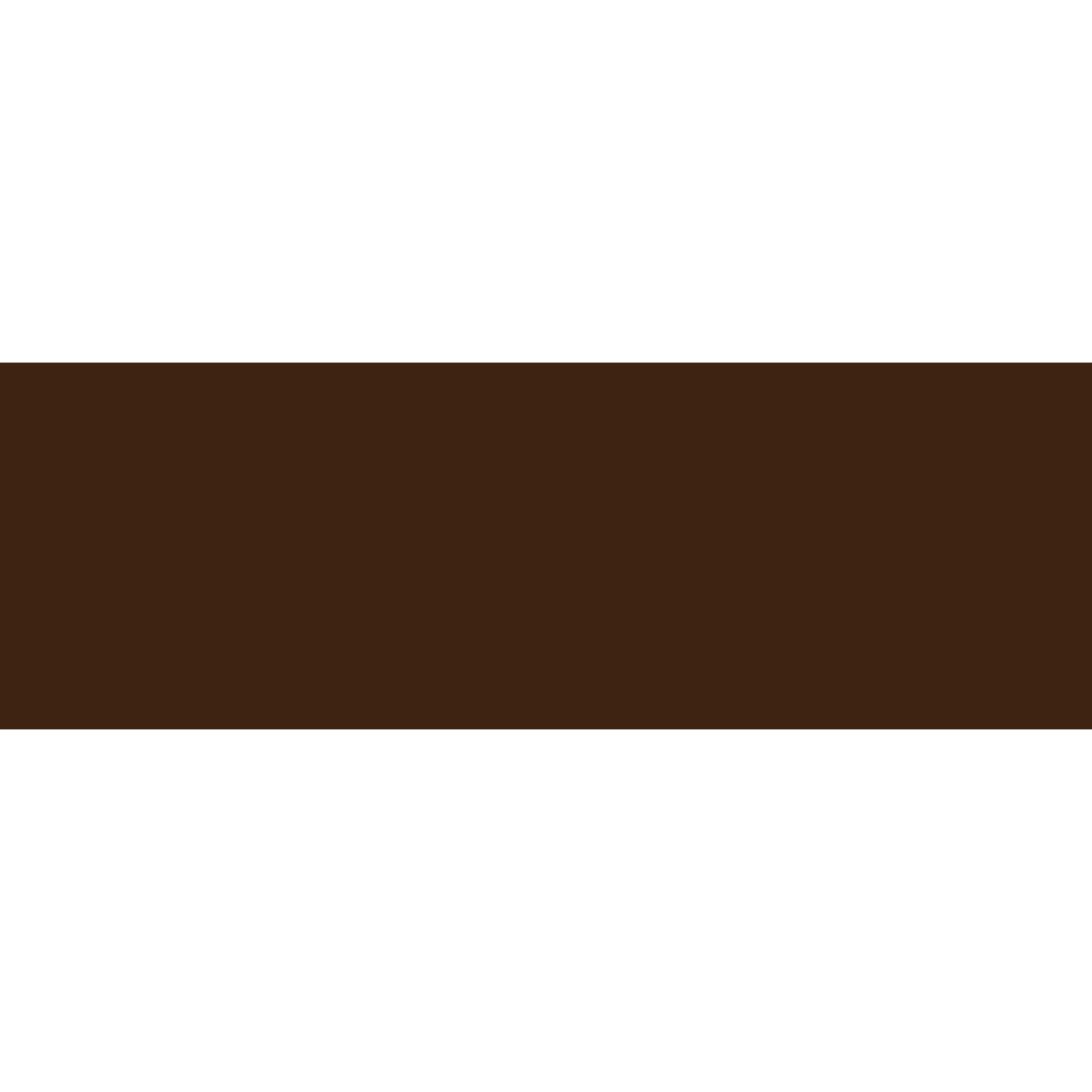 Hangar 9 UltraCote ParkLite, Brown