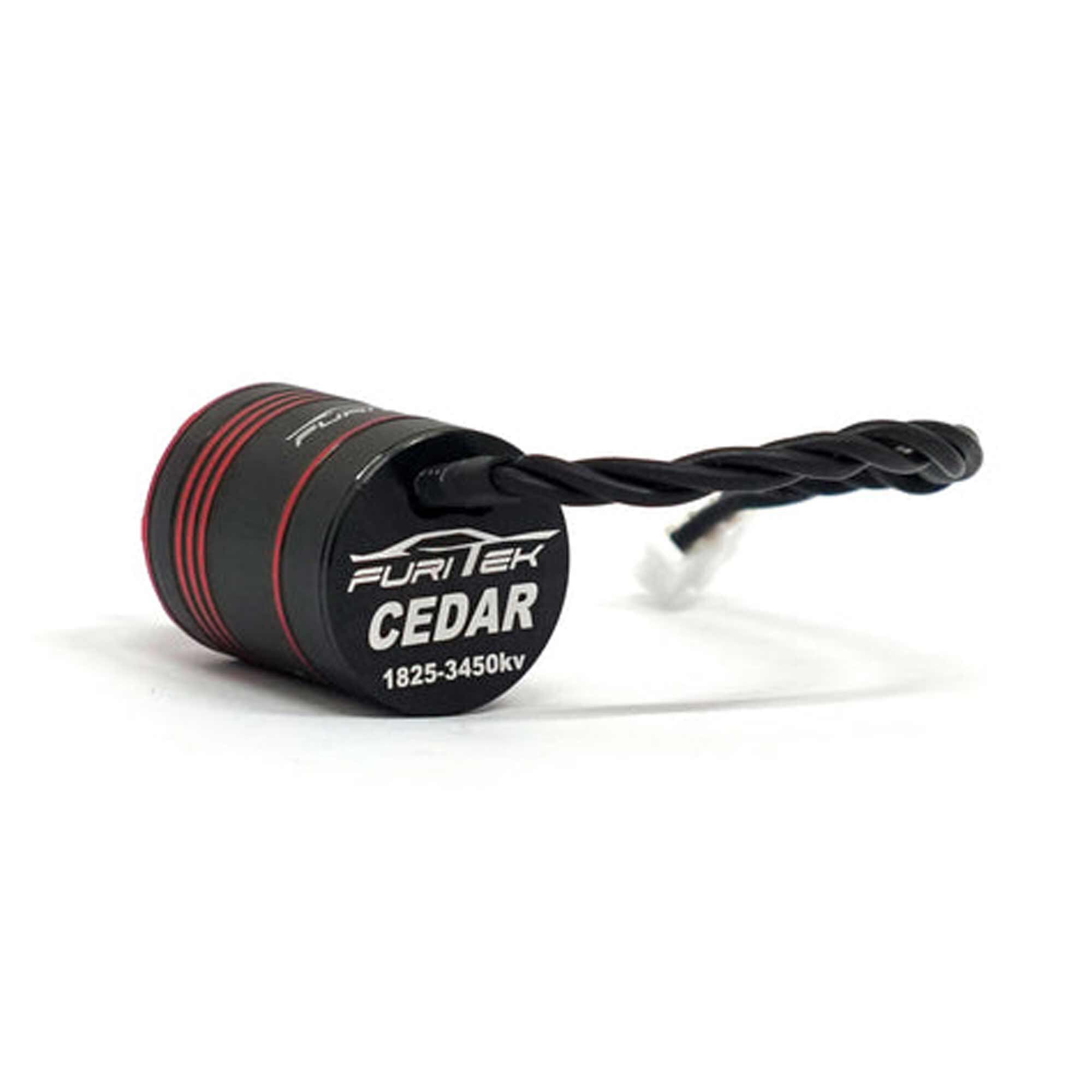 Furitek Cedar Inrunner Brushless Motor with 11T Steel Pinion: SCX24