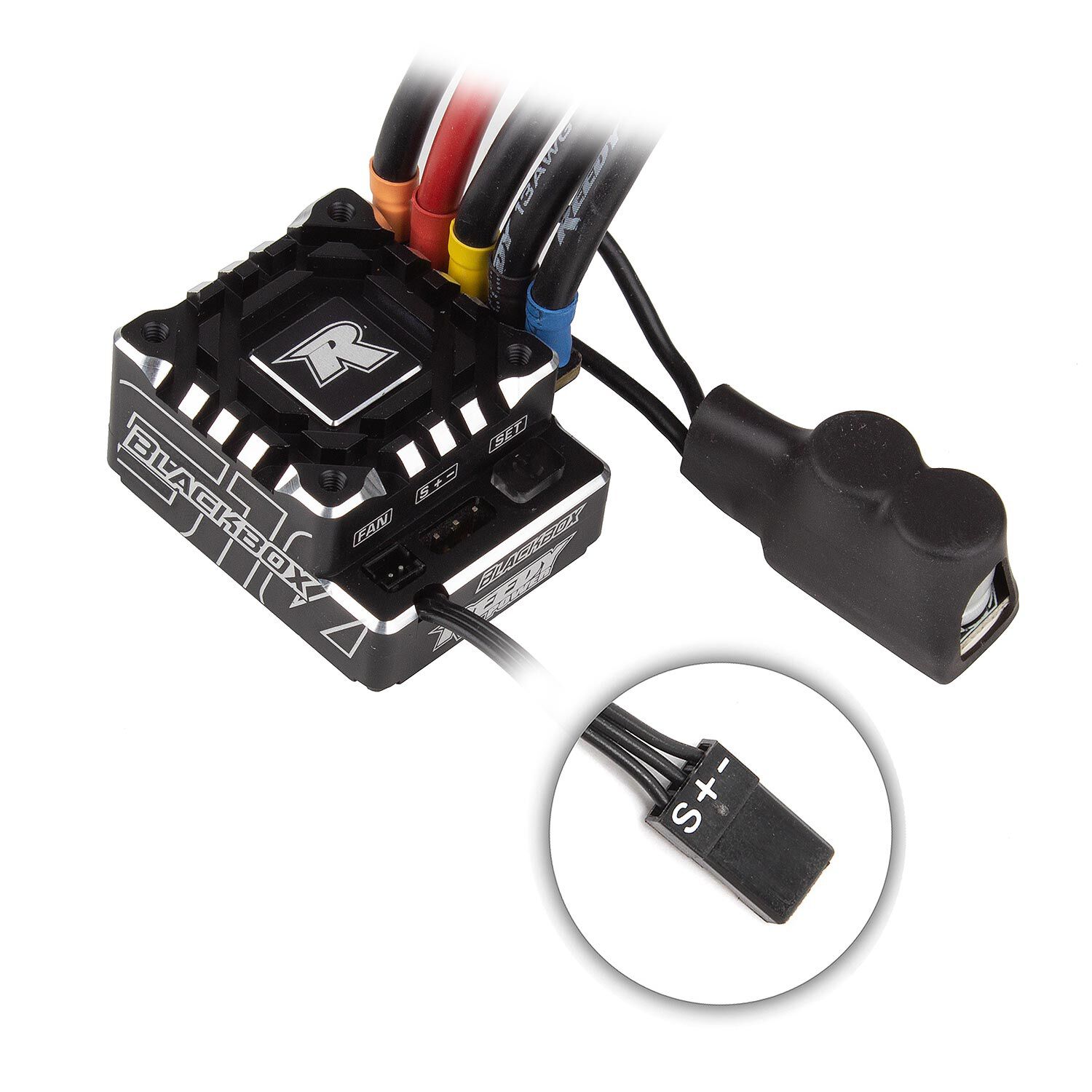Team Associated Blackbox 610R Competition ESC