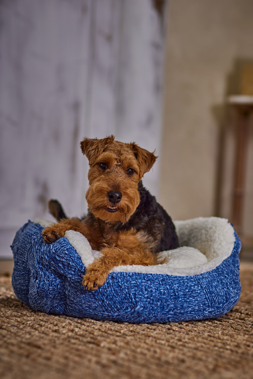 Cecilia Chenille Dog Bed