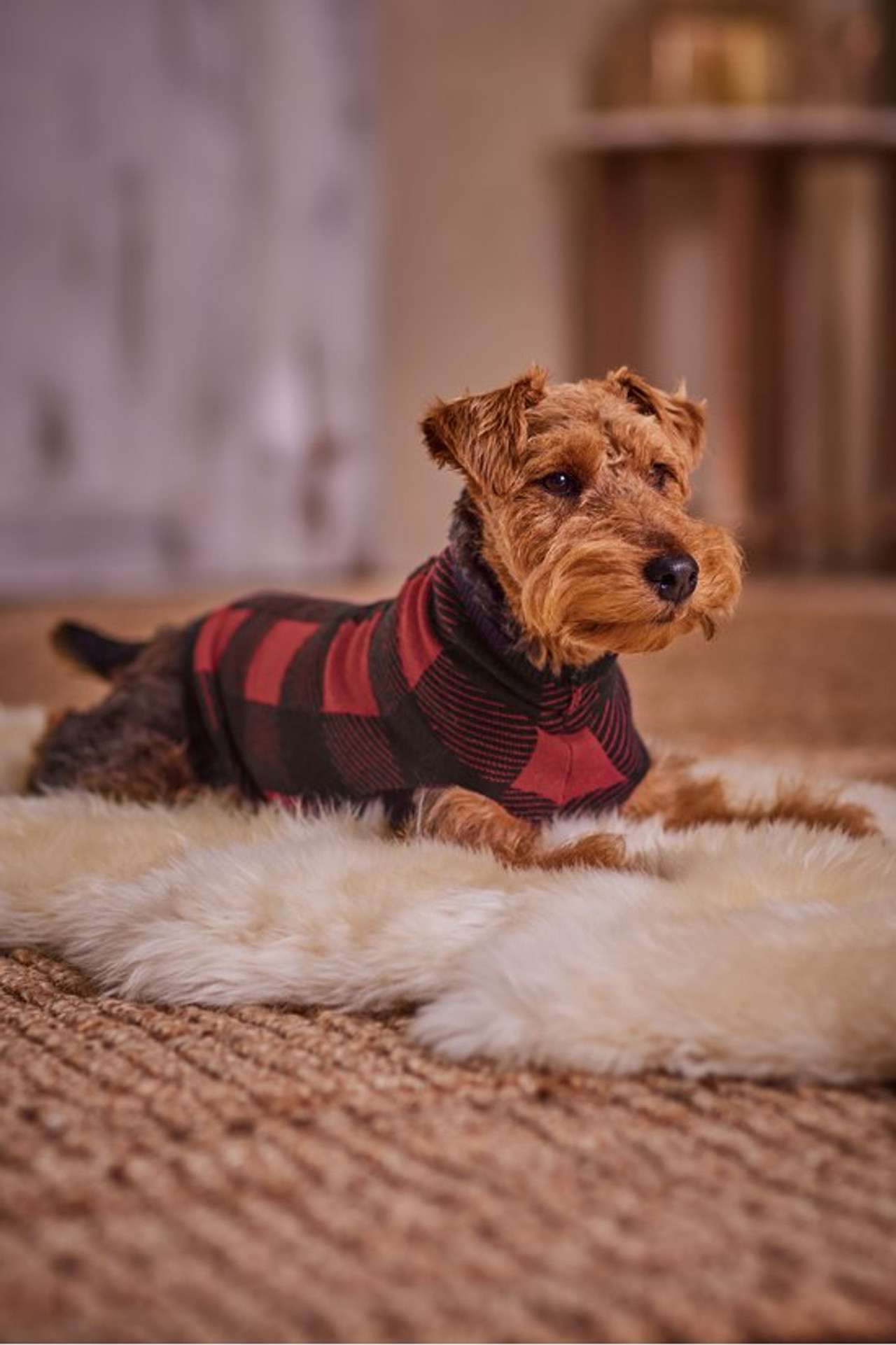 Bera Plaid Dog Sweater