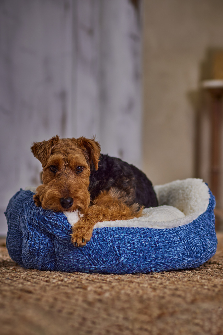 Cecilia Chenille Dog Bed