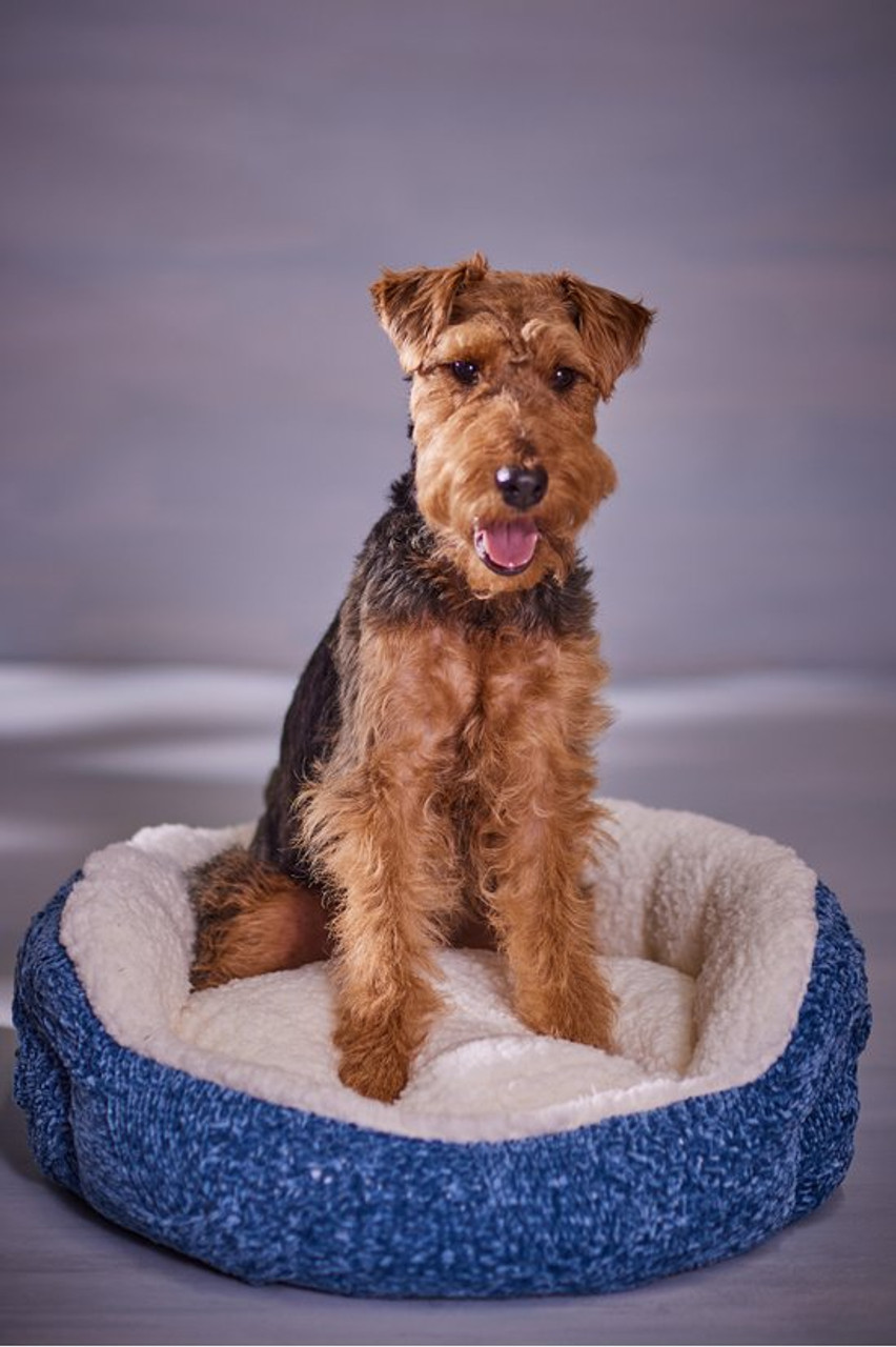 Cecilia Chenille Dog Bed